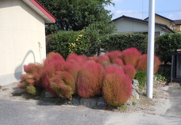 Dscn6042_2