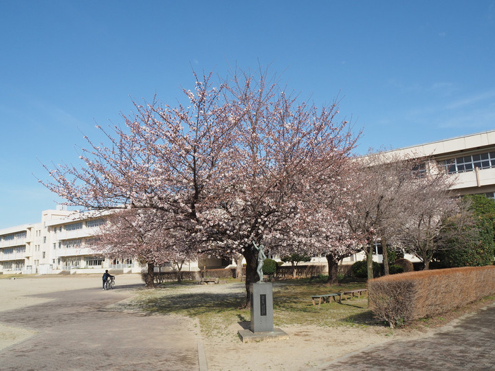 P3280025