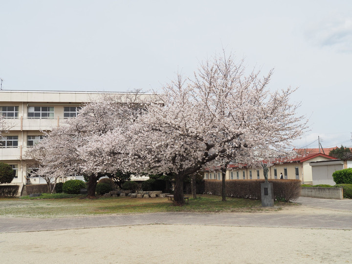 P3270056