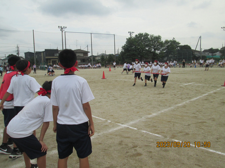 Photo_3