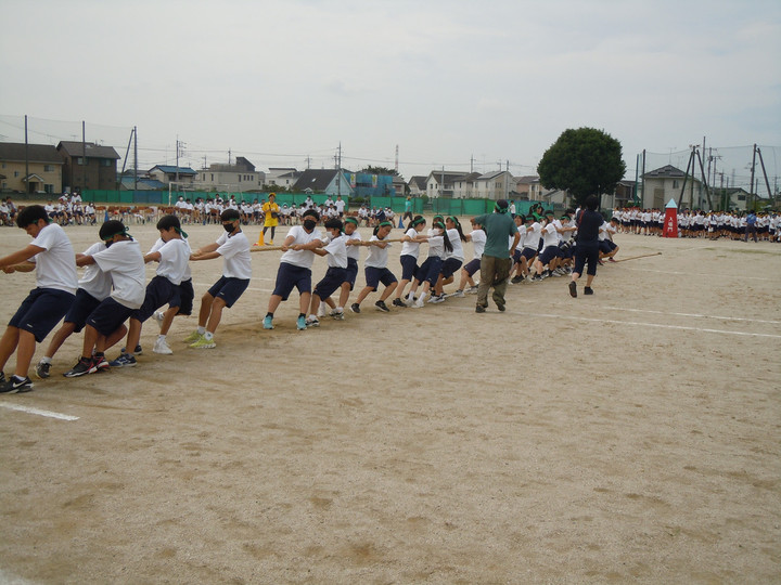 Photo_4