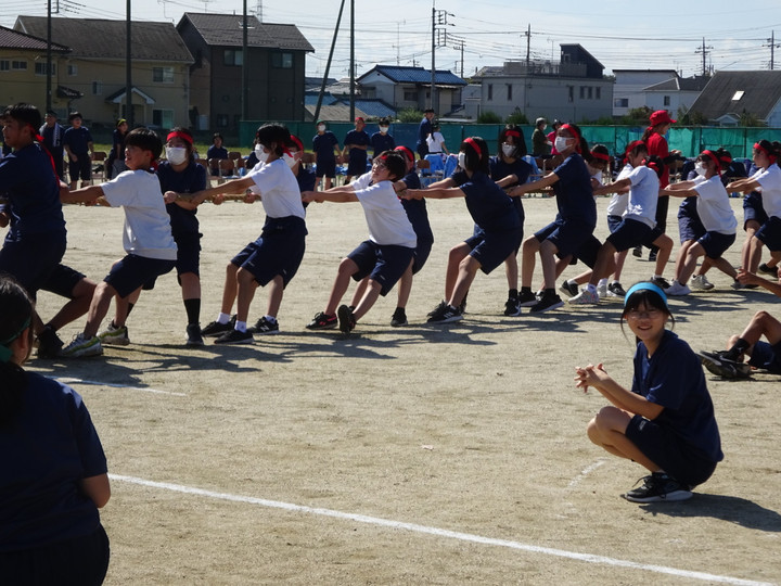 Photo_7