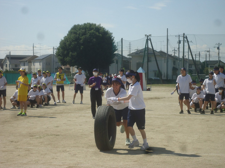 Photo_8