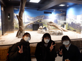 Dscf7444